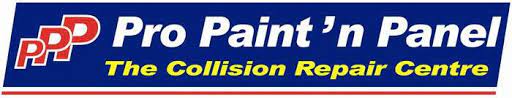 Pro Paint N Panel CN Logo